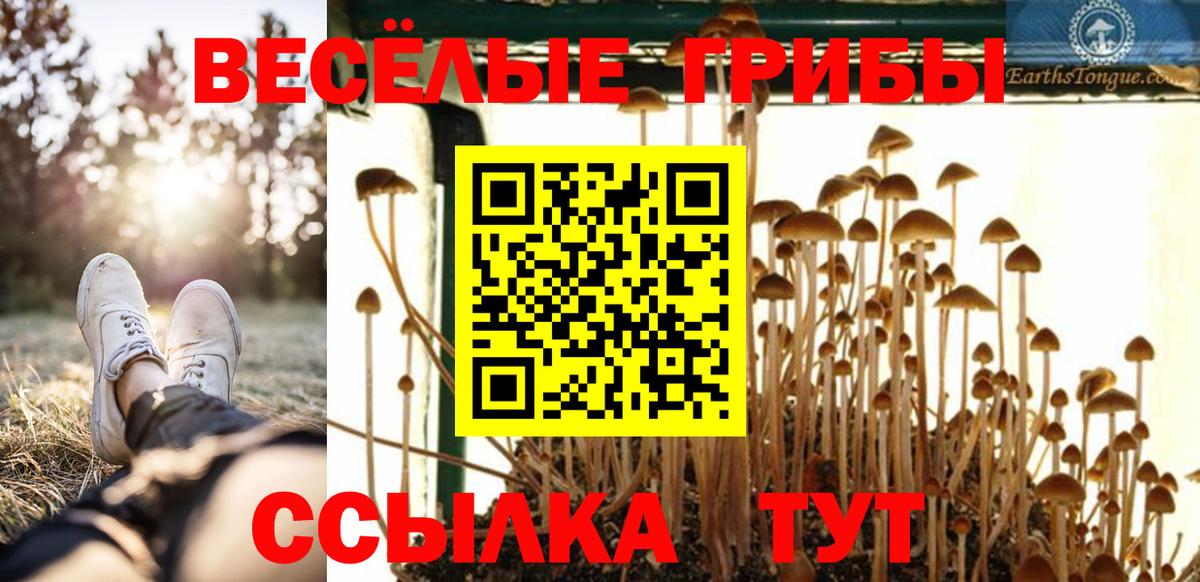 Псилоцибиновые грибы прущие грибы  Вход с VPN  Борисоглебск  Псилоцибиновые грибы GOLDEN TEACHER 